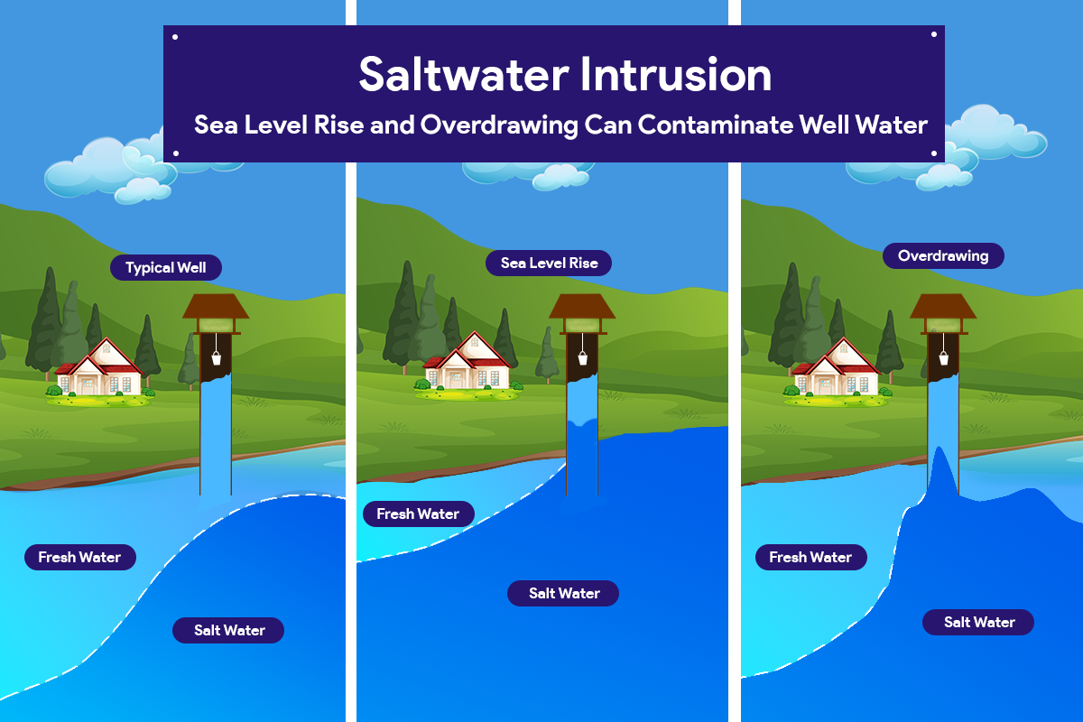 PayBito Reveals Disturbing Consequences of Saltwater Intrusion in ...